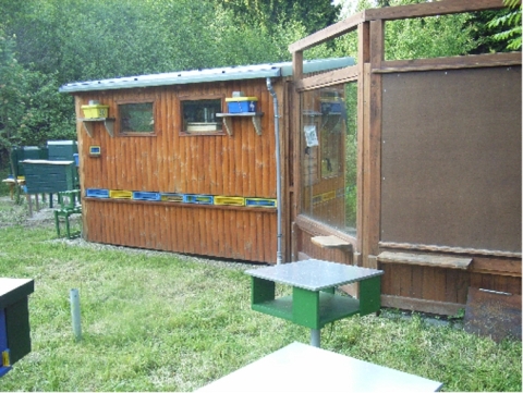 Schau- und Lehrbienenstand
