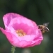Bild4