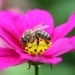 Bild7