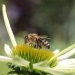 Bild8