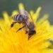 Bild10