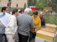Bild 15