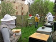Bild 16