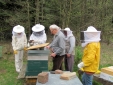 Bild 18