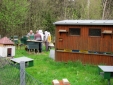 Bild 24