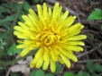 Bild 31