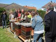 Bild 9